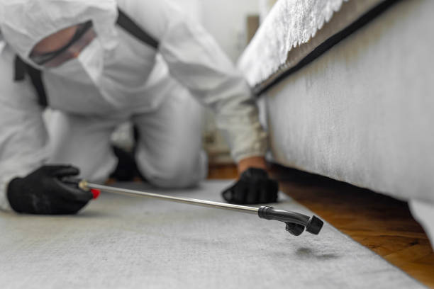 Professional Ant Control technician working in Crescent, OK