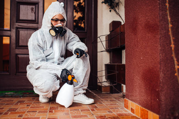 Reliable Ant Control contractor in Crescent, OK by Show Me Pest Control