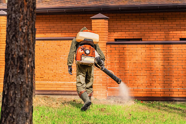 Top rated local Ant Control specialists in Crescent, OK